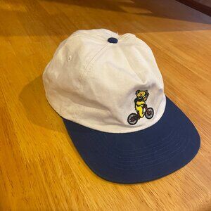 Grateful Dead Bear Snapback Hat | Teton Gravity Research